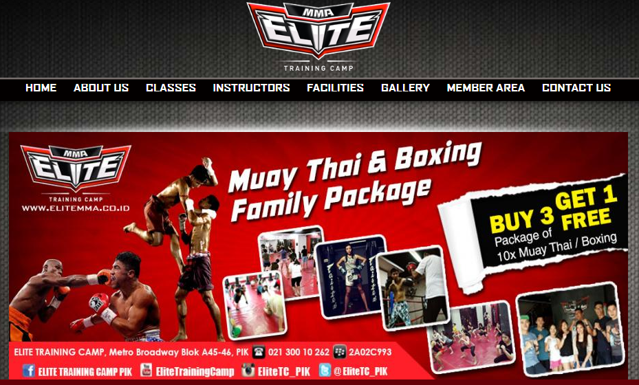 Elite MMA