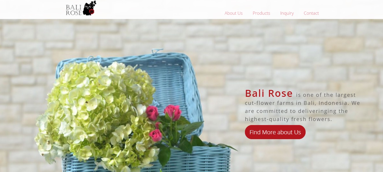 Bali Rose